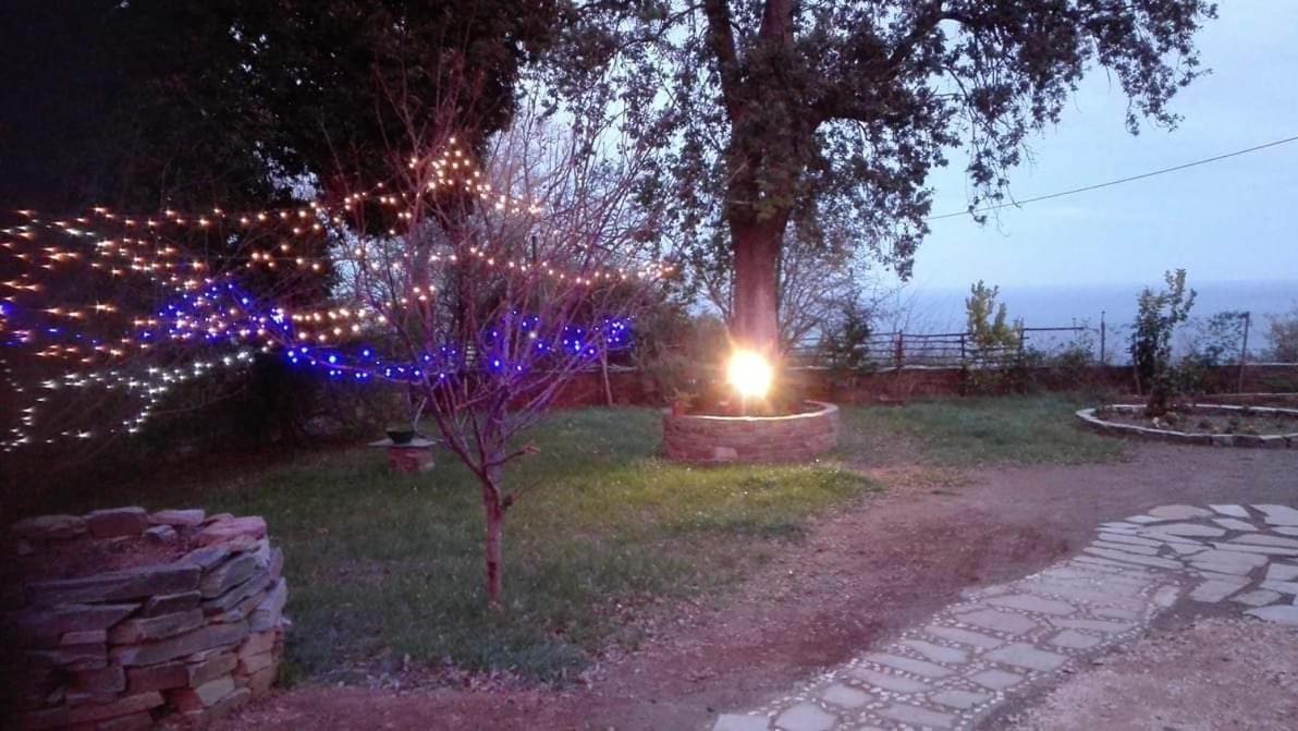 Apartments Spiros Pelion Kalamáki Kültér fotó